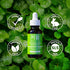 SeoulCeuticals Organic Polyglutamic Acid Serum - K Beauty Anti Aging with Hyaluronic Acid & Centella Asiatica (1oz)