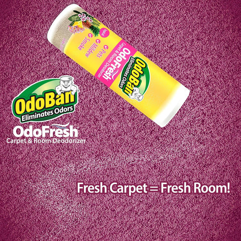 OdoBan OdoFresh Carpet and Room Deodorizer Powder, Tropical Scent for Home Smells and Odors